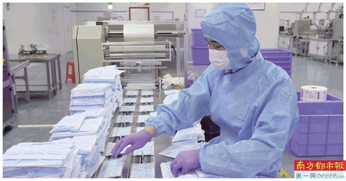 產線提速物流聯動，內地持續撐港，技術咨詢及銷售協同共進